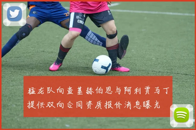猛龙队向查基赫伯恩与阿利贾马丁提供双向合同资质报价消息曝光