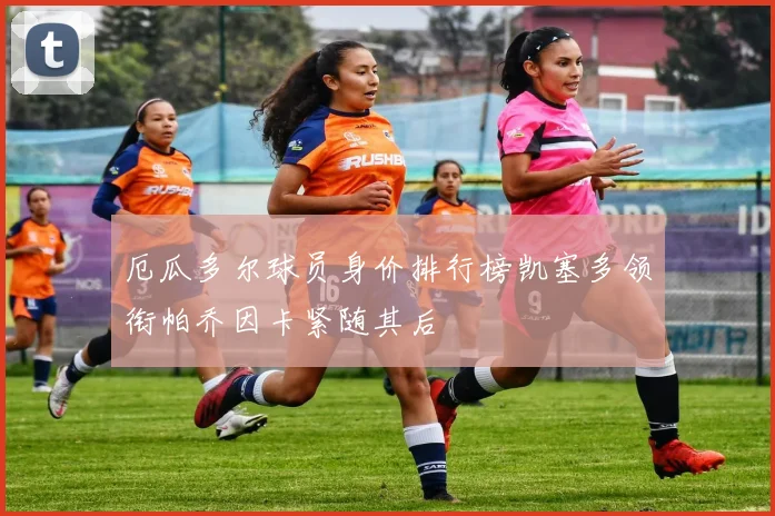 厄瓜多尔球员身价排行榜凯塞多领衔帕乔因卡紧随其后